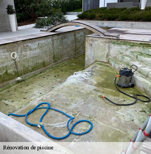 Rénovation de piscine-3