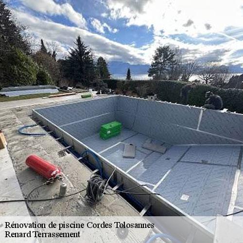 Rénovation de piscine-7