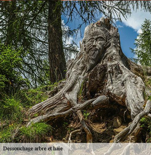 Dessouchage arbre et haie-3