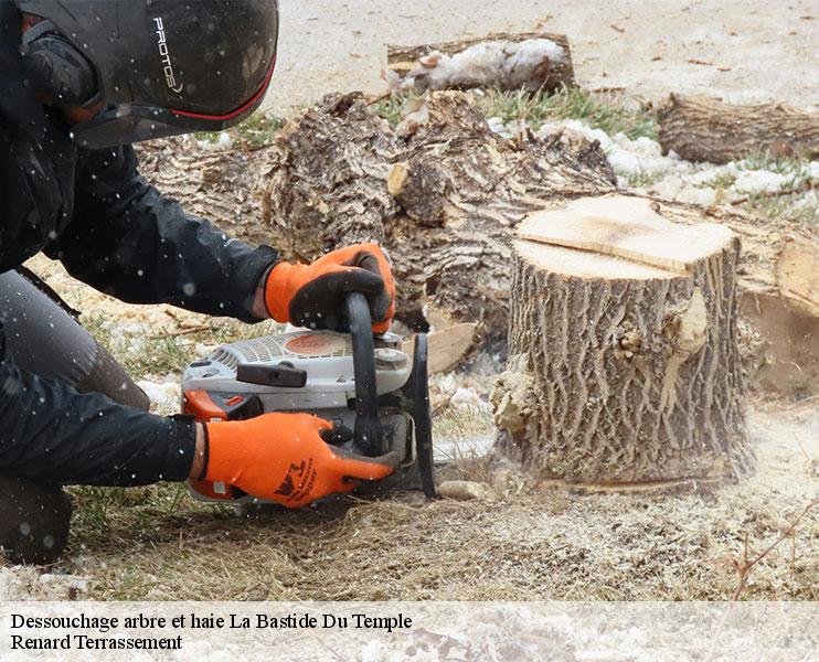 dessouchage-arbre-et-haie-1