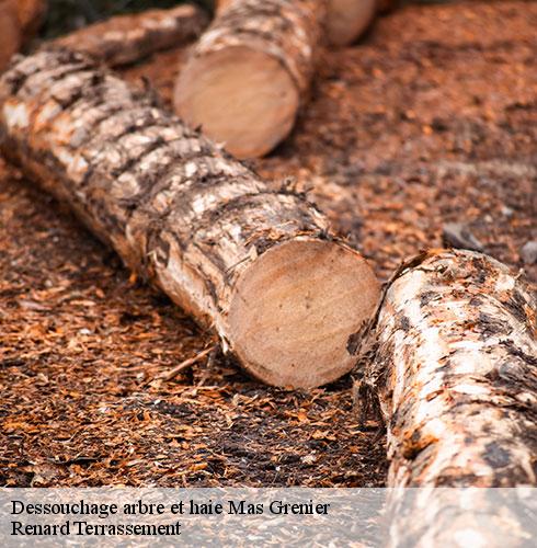 Dessouchage arbre et haie-4