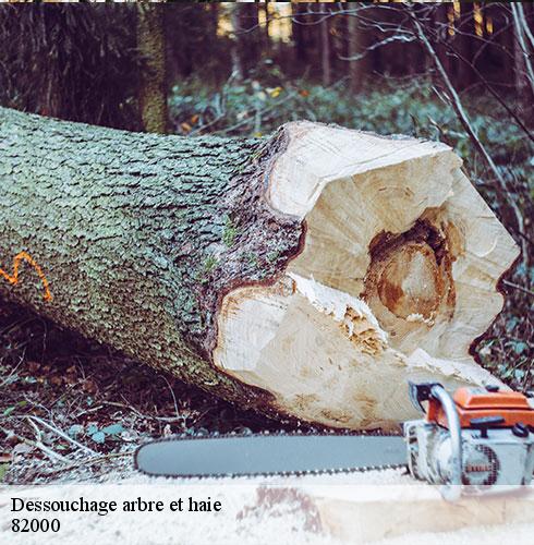Dessouchage arbre et haie-5