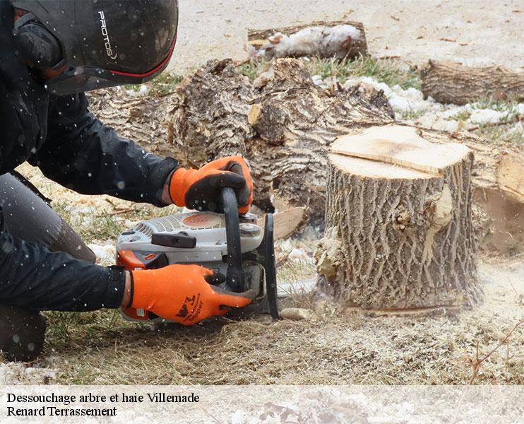 dessouchage-arbre-et-haie-1